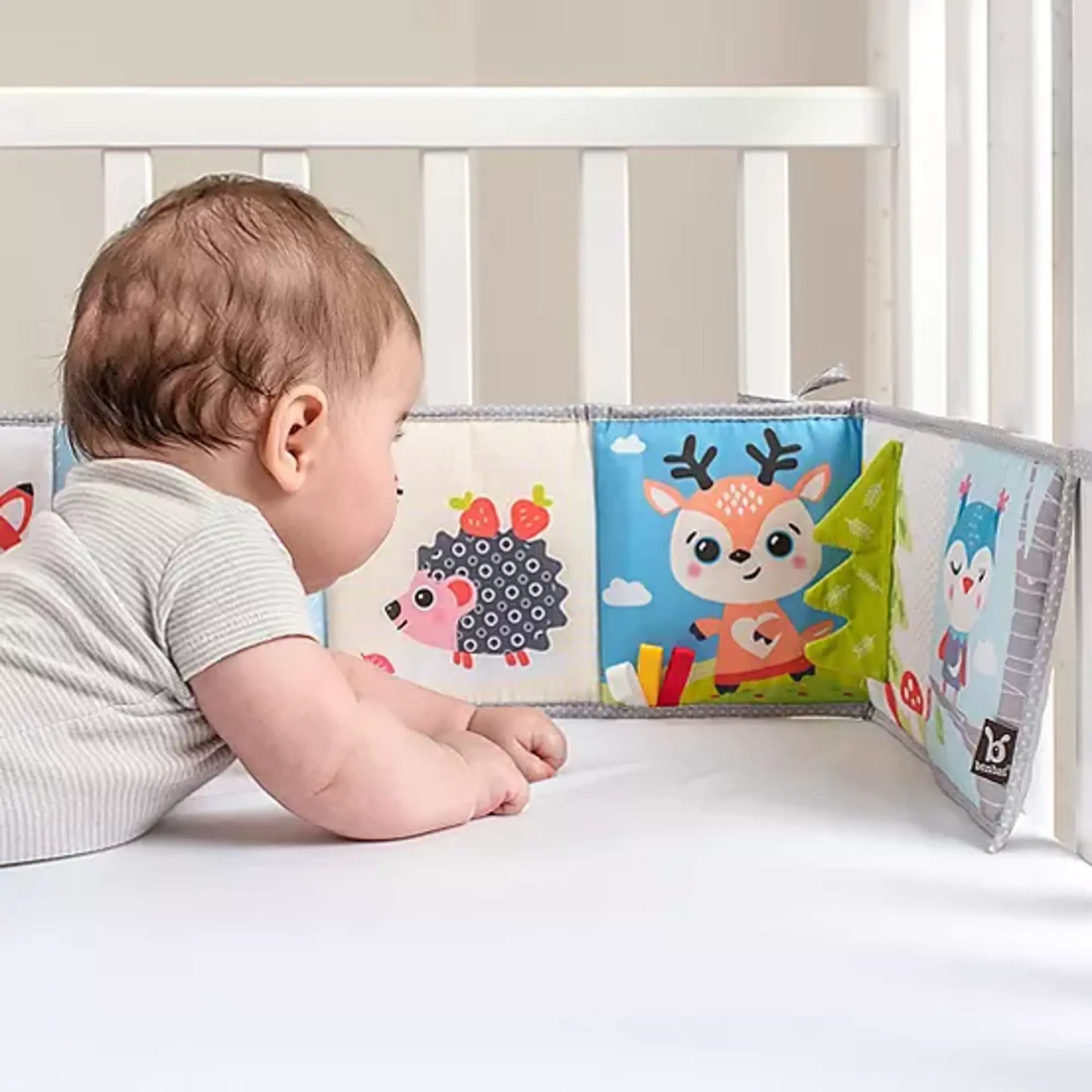 Baby Toys