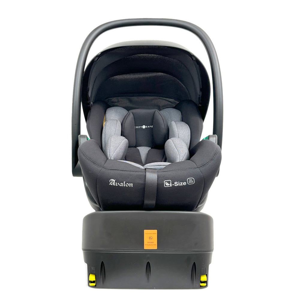 Champion & Avalon Travel System Bundle