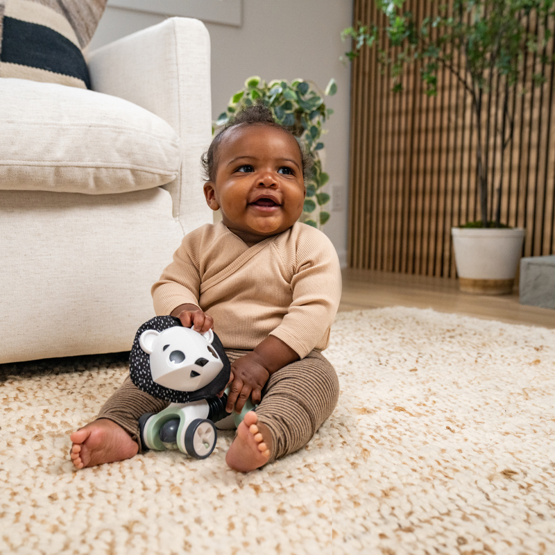 Tiny Love Black & White Décor Rolling Toy