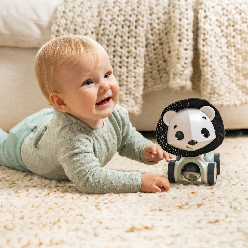 Tiny Love Black & White Décor Rolling Toy