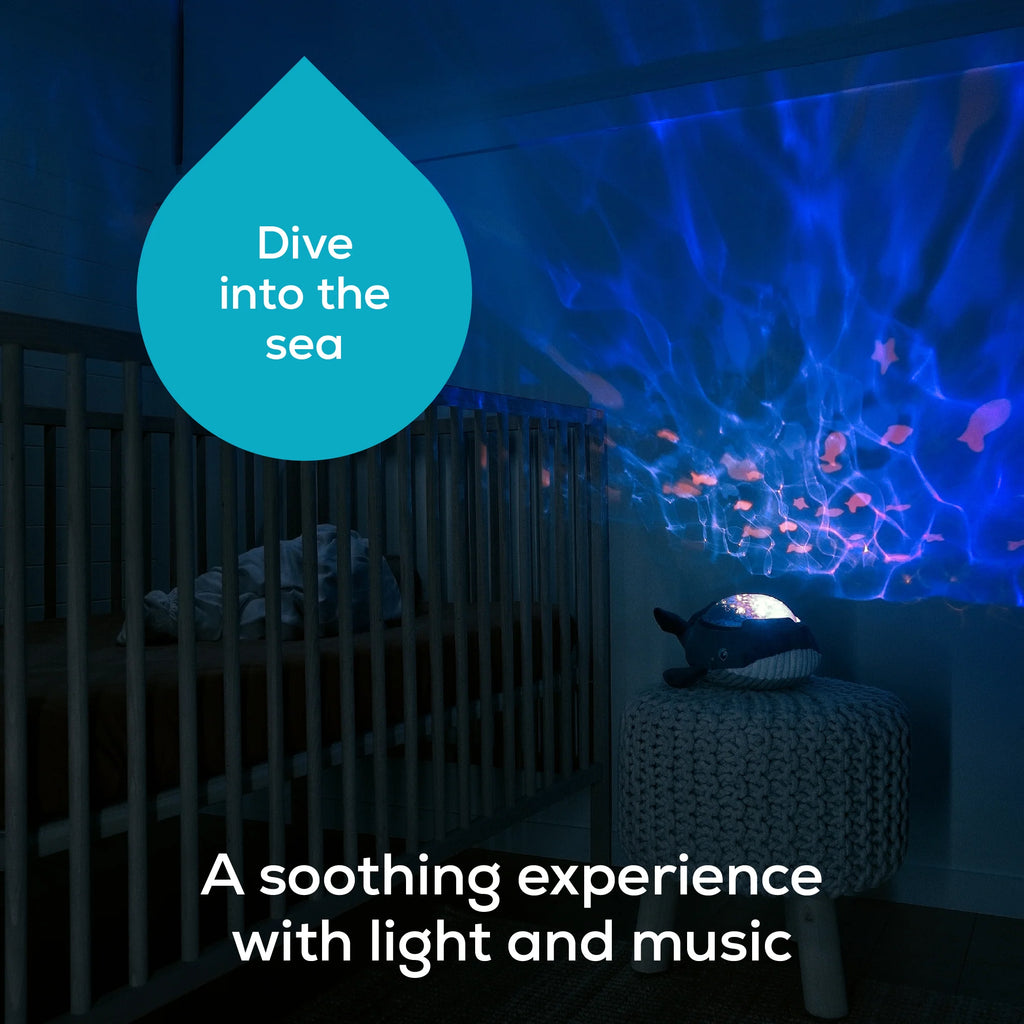 Aqua Dream Whale Night Light