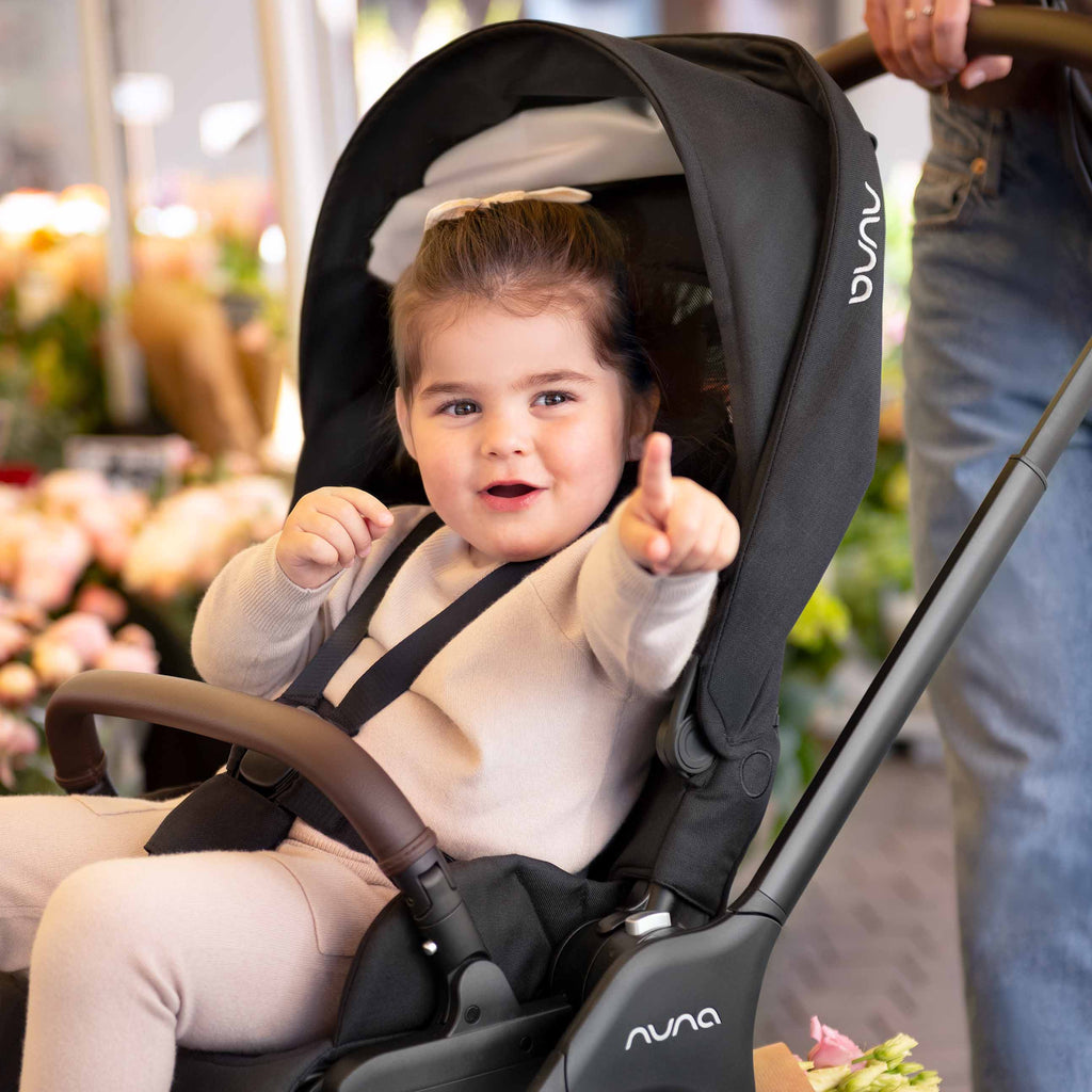 Nuna Triv™ LX All-Season Set - Caviar