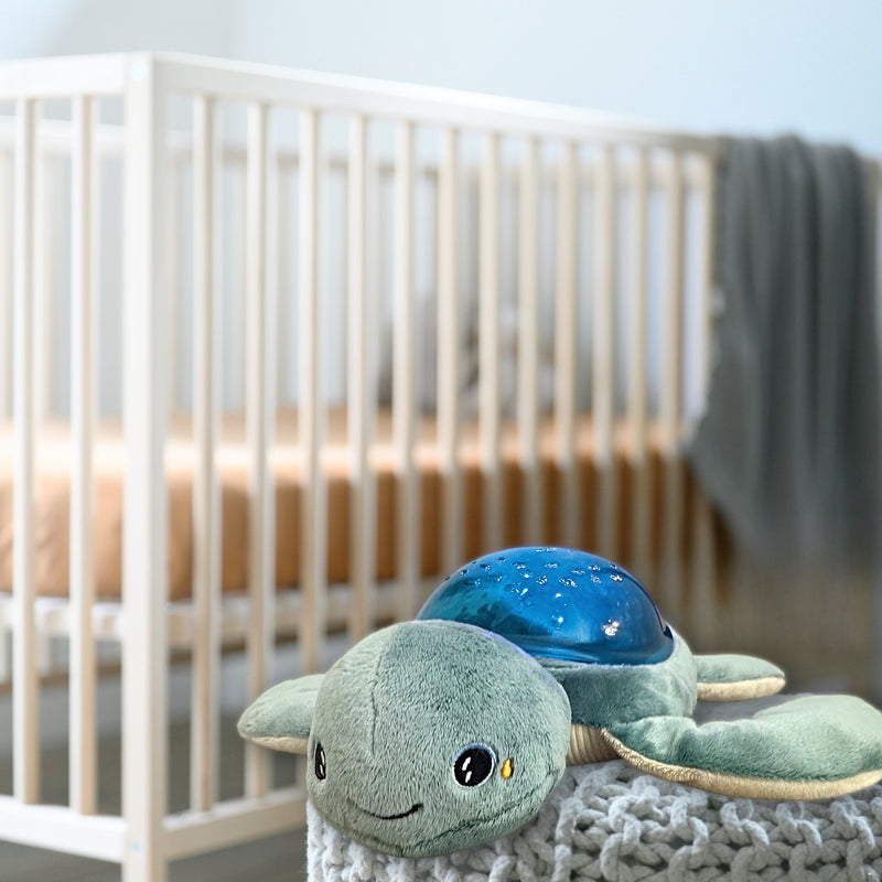 Aqua Dream Turtle Night Light