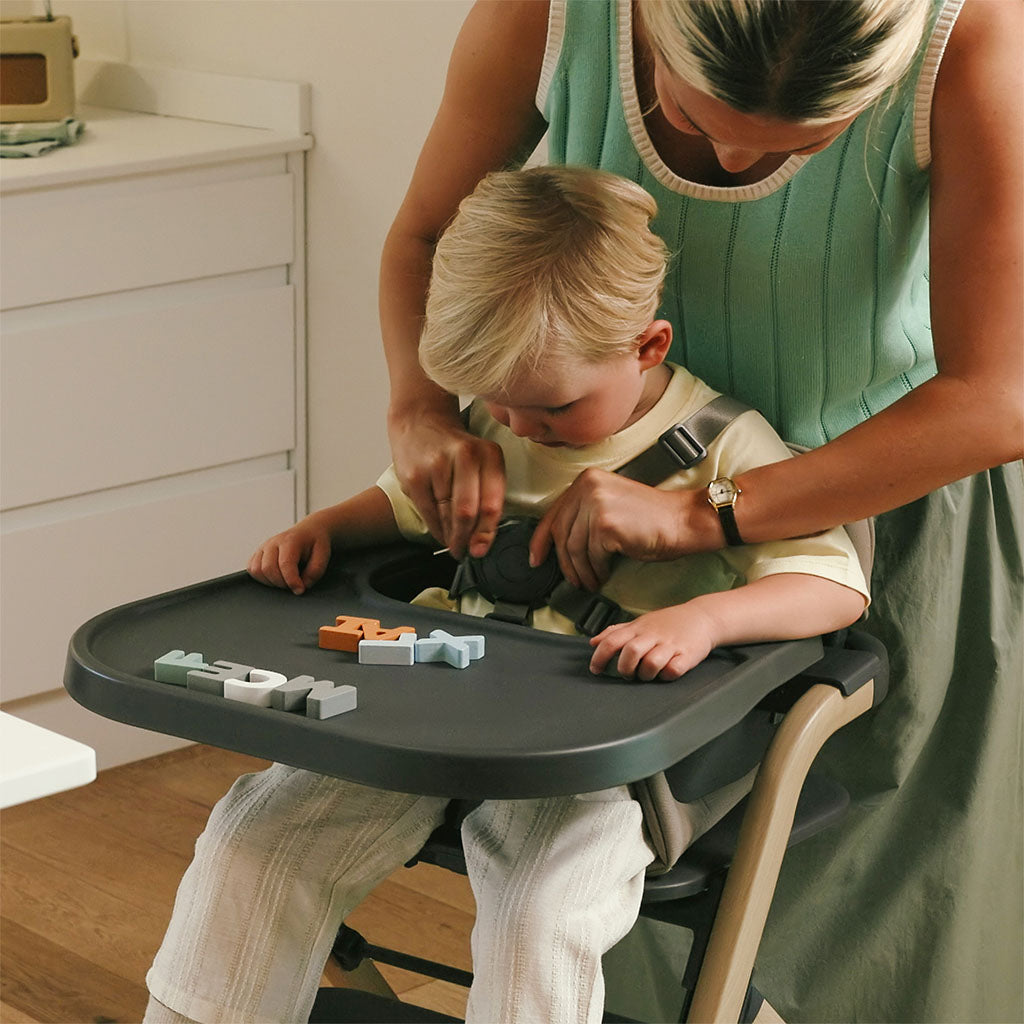 Silver_Cross_Nest_and_Nurture_Highchair_Biscuit_2