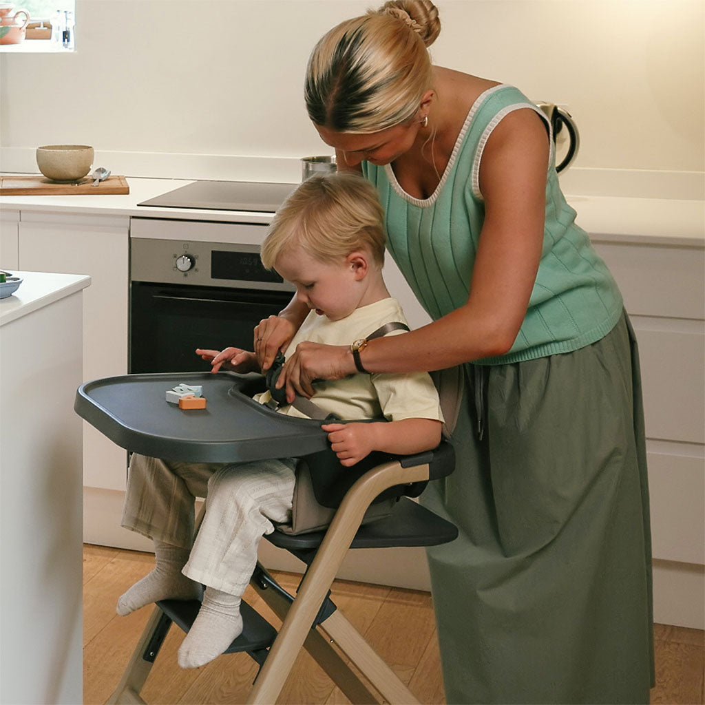 Silver_Cross_Nest_and_Nurture_Highchair_Biscuit_6