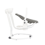 Joie Serina 2in1 Infant Swing and Rocker - Cosmo Grey