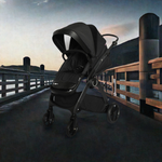 Cozy N Safe Champion Pushchair