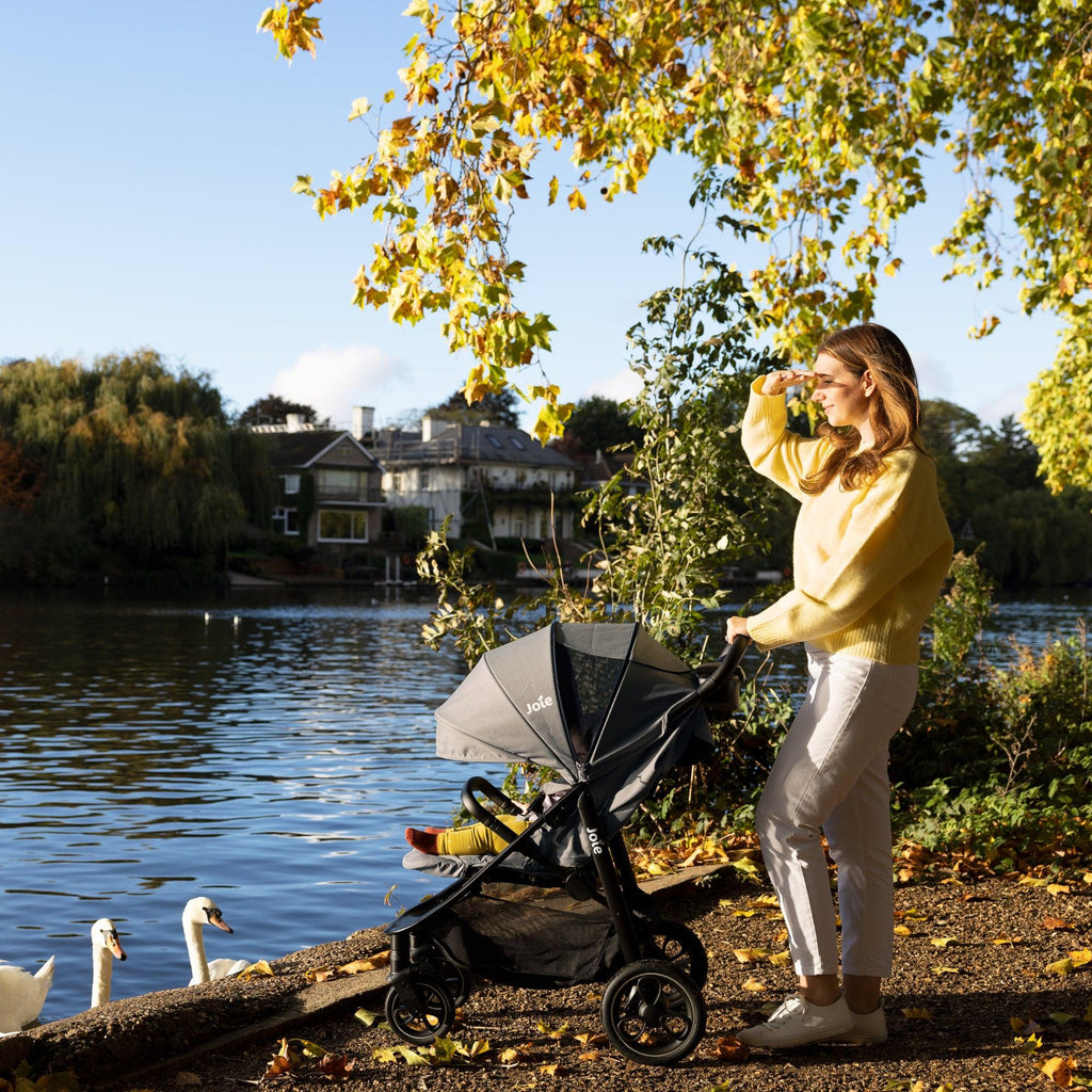 Joie Litetrax Pro Pushchair - Chelsea Baby