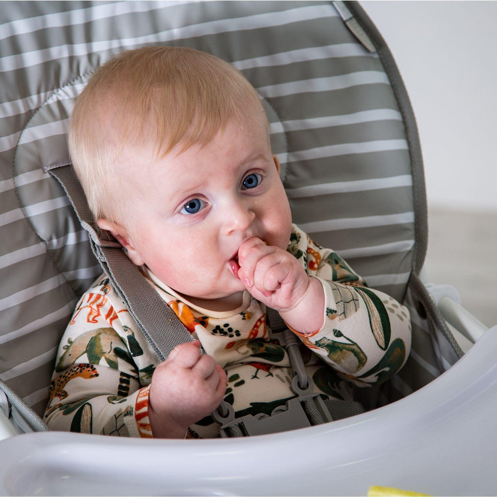 Red Kite Feed Me Compact Highchair - Chelsea Baby