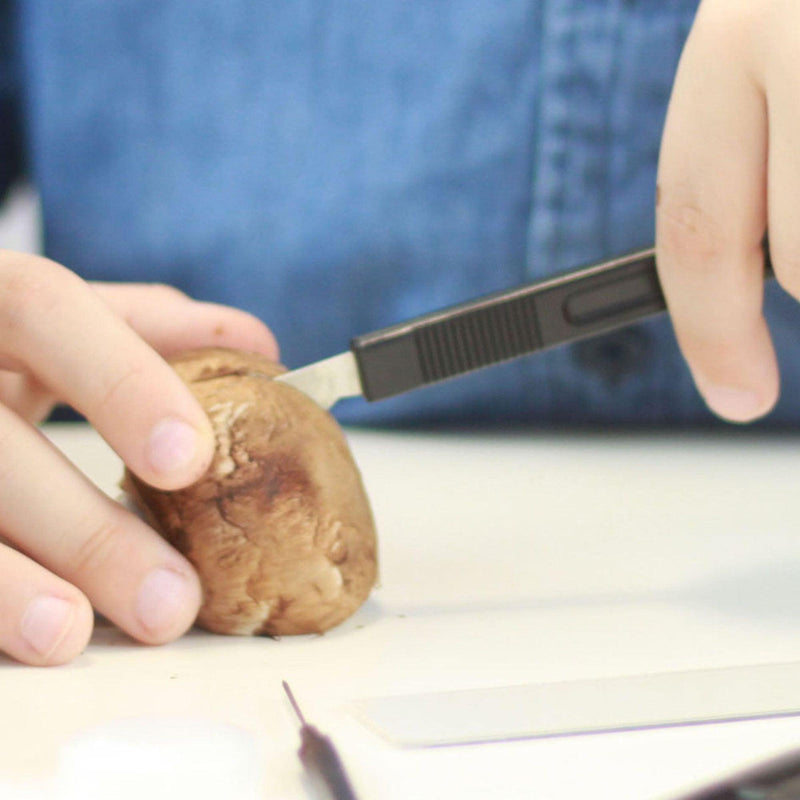 Buki Microscope with 30 experiments