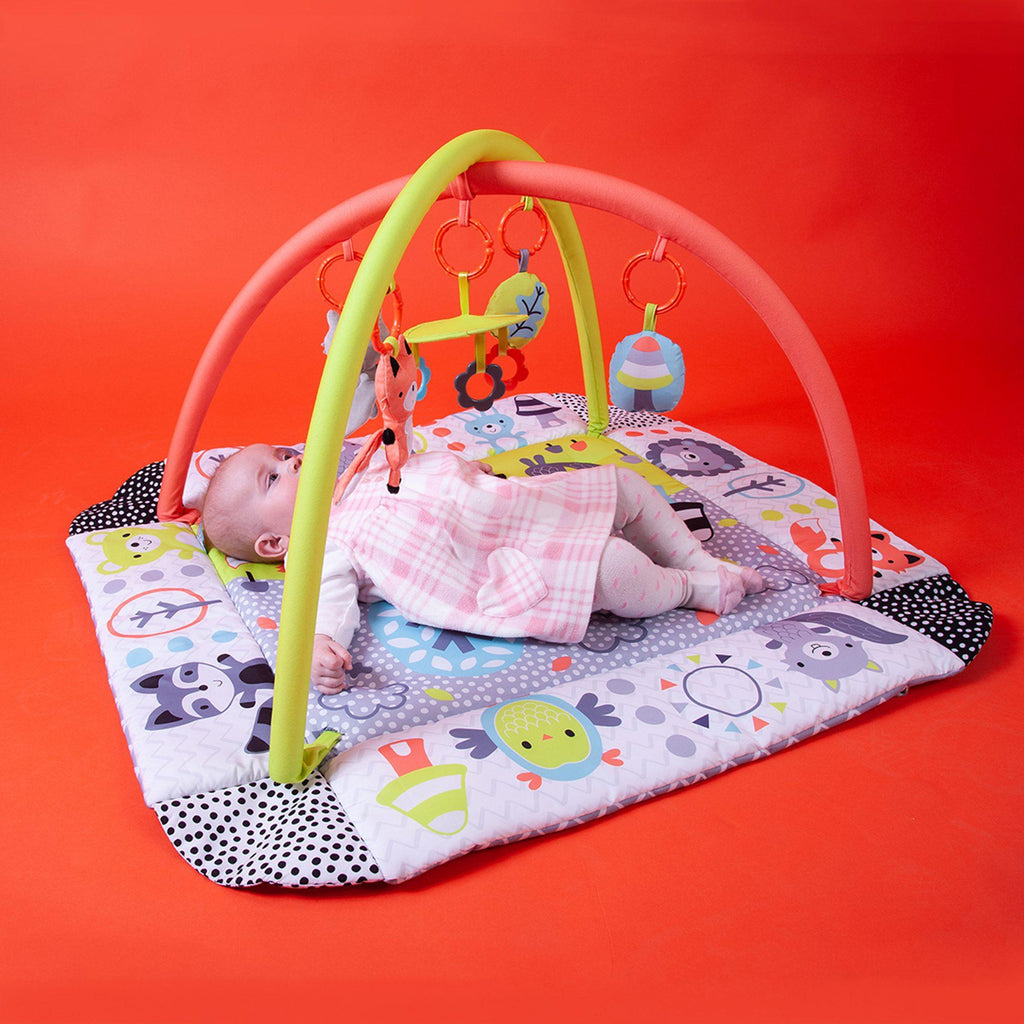 Red Kite Peppermint Trail Ball Play Gym - Chelsea Baby